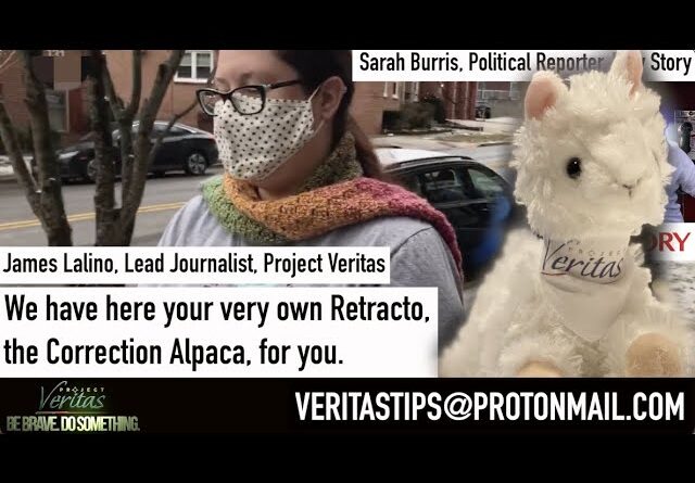 Raw Story "Journalist" Sarah Burris SPEECHLESS When Presented Retracto Plushie By Veritas Journalist