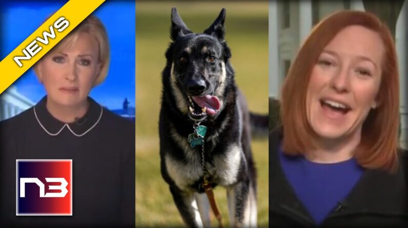 AWKWARD! Jen Psaki Forced to Come Up with Excuse for Biden’s Aggressive Dog Major