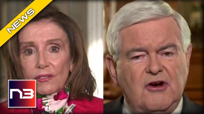 OMG! Newt Gingrich ANNIHILATES Pelosi and Her Plans for the House