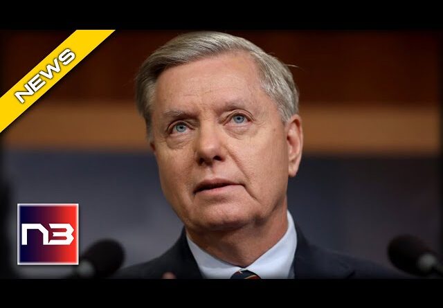 Lindsey Graham Reveals the Fine Print You Won’t BELIEVE in Dems Stimulus Package