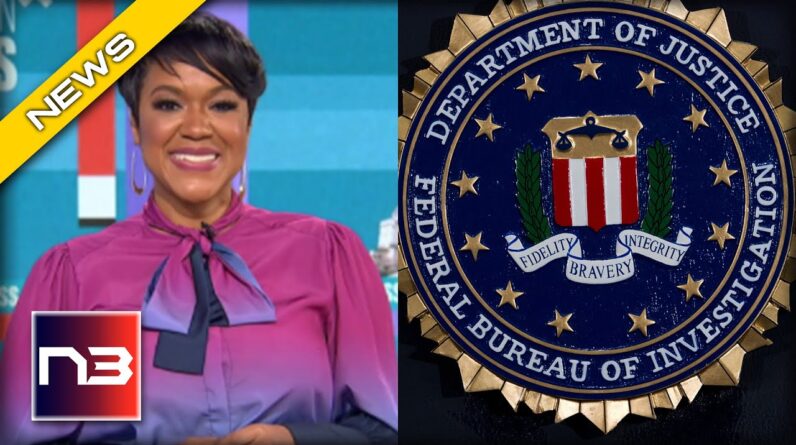 This MSNBC Host Has MOST INSANE Idea for FBI and you will Die Laughing when you find out