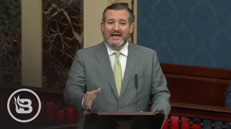 Ted Cruz EXPLODES on Chinese Communist Party From Senate Floor