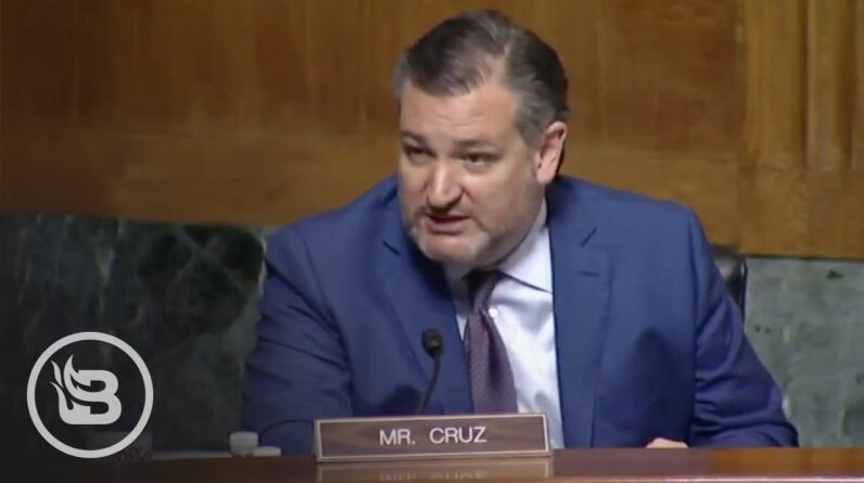 Ted Cruz Just Made the Best Case for the Second Amendment You’ll Ever Hear