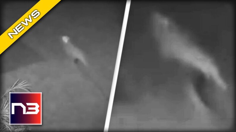 WATCH THIS! Woman Claims to See "Baby Dino" Run Through her Yard - What do You See?