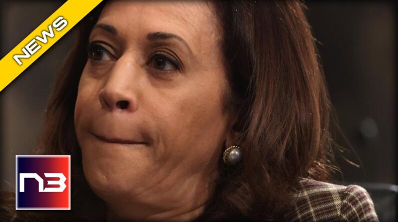 WATCH Border Czar Kamala Gets Testy w/ Reporter when they Ask about... the Border