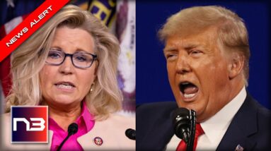 Rep. Liz Cheney (R-INO) asked about 2024, Her Response is Frightening