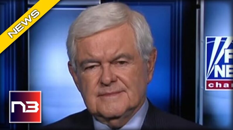 Gingrich Turns to the Camera UNLOADS on Biden, Harris during SCORCHING Interview