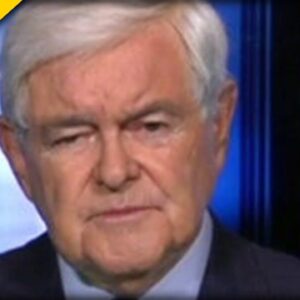 Newt Gingrich UNLEASHES during Interview about Pipeline Attack - This is a MUST SEE!
