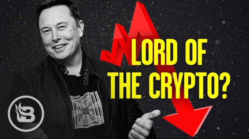 Elon’s Crypto Games & Their Effect on the Environment | Stu Does America