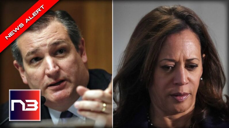 Kamala Harris Tries to Cover Up Border Crisis - Ted Cruz IMMEDIATELY Shuts her Down