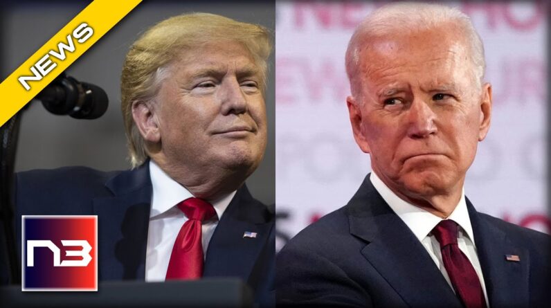 LOL! Donald Trump REACTS after Joe Biden is Compared to Jimmy Carter