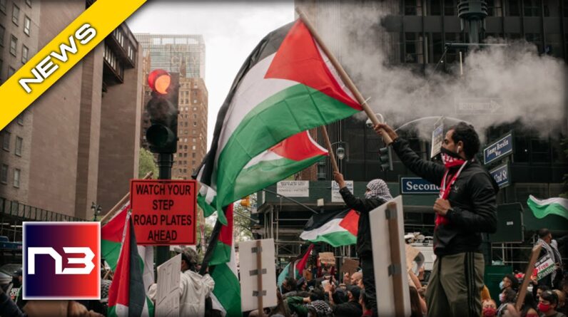 NYC HOROR: Palestinians ATTACK Jews in New York City - Scene Looks like a WARZONE