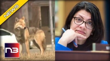 Rashida Tlaib’s District Looks like a Setting out of a HORROR Movie