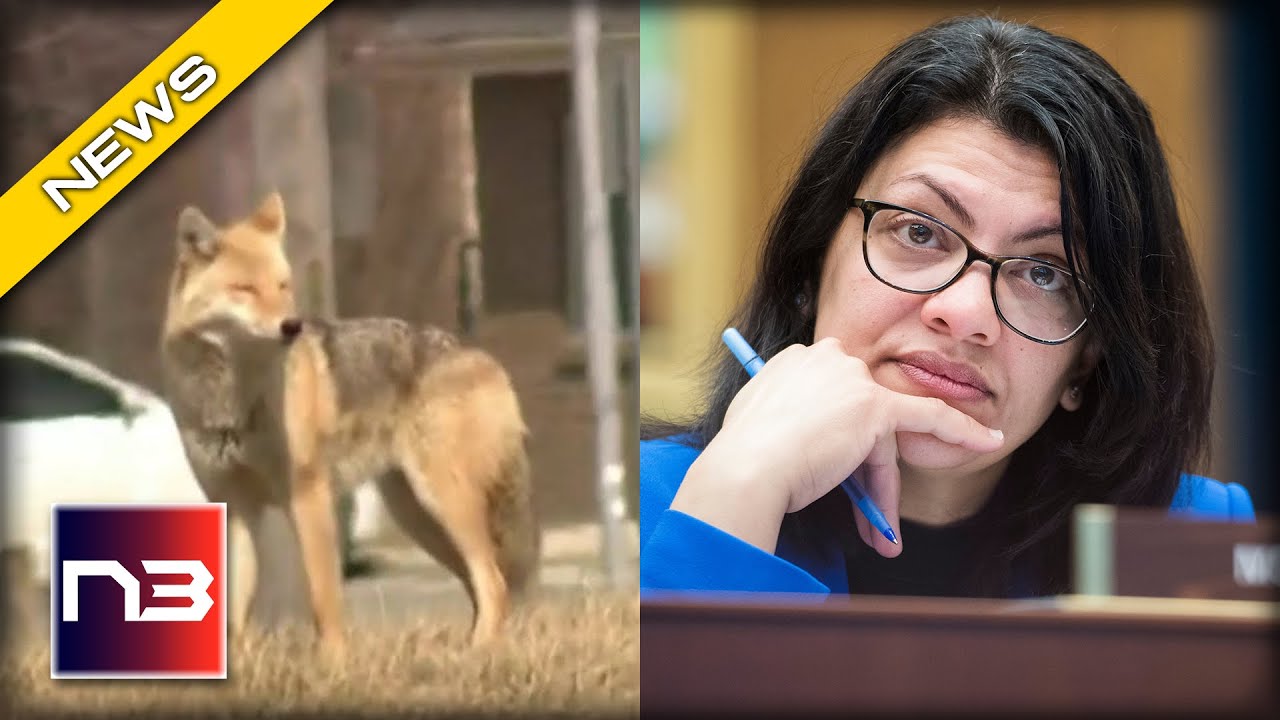 Rashida Tlaib’s District Looks like a Setting out of a HORROR Movie