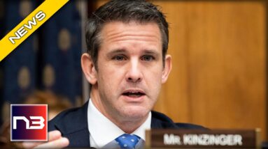 RINO Adam Kinzinger is the Next Republican that Needs to Go