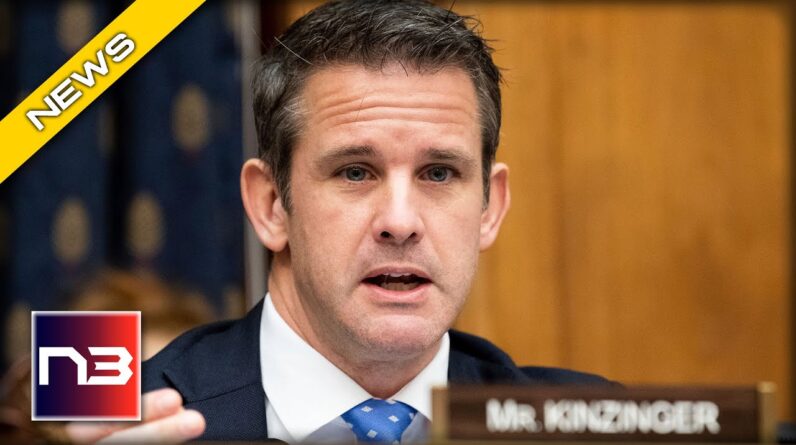 RINO Adam Kinzinger is the Next Republican that Needs to Go