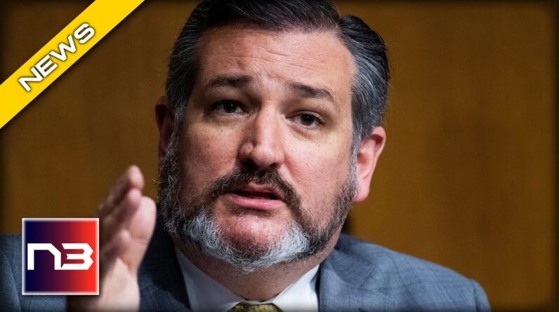 Ted Cruz Goes OFF on Democrat Bill that Would DESTROY Our Country