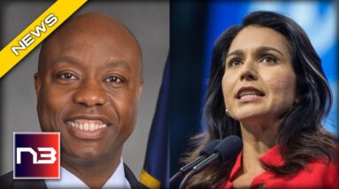 Tulsi Gabbard REACTS to Hatred against Republican Sen. Tim Scott