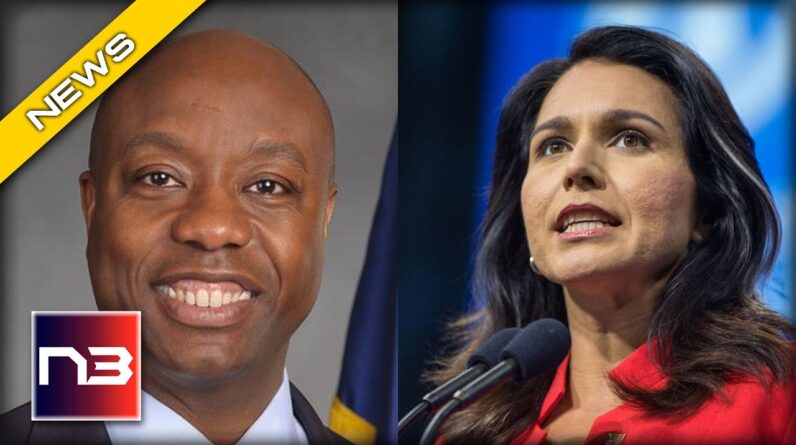 Tulsi Gabbard REACTS to Hatred against Republican Sen. Tim Scott