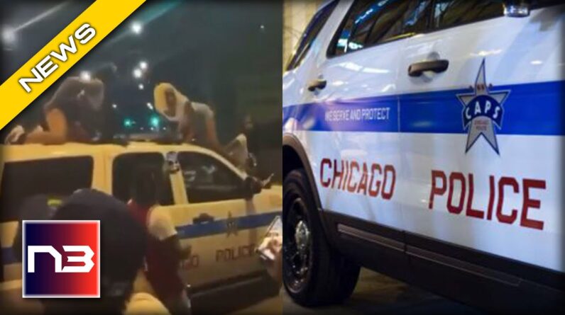 Chicago PD Investigating BLM Thugs who Twerked on top of Police Cruiser