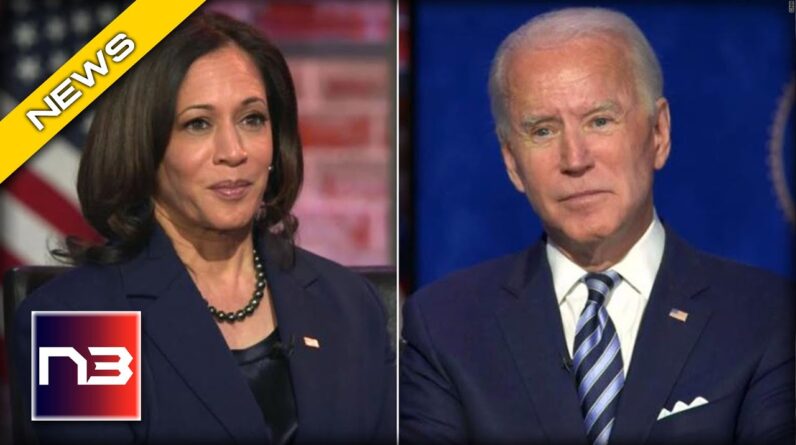 Kamala Hit with ANOTHER Job for Biden.. Will she Deliver?