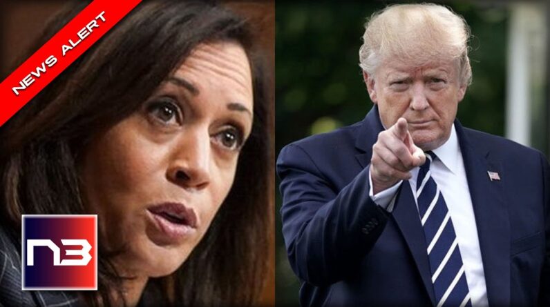 CHECKMATE! Trump to PUBLICLY HUMILIATE Feckless "Border Czar" Kamala Harris with BRILLIANT Move