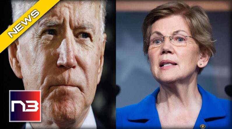 OOPS! Elizabeth Warren Accidentally Says the Quiet Part Out Loud about Dems SECRET Agenda