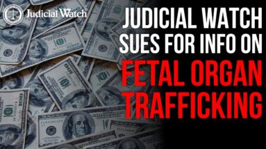 SHOCKING: Federal Lawsuits for Info on Fetal Organ Trafficking