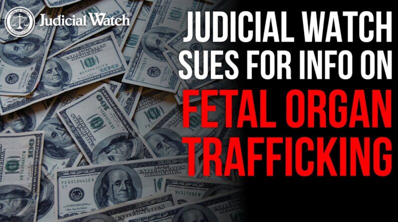 SHOCKING: Federal Lawsuits for Info on Fetal Organ Trafficking