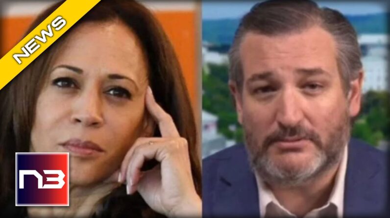 Ted Cruz UNLEASHES on Biden, Harris for being MIA at the Border