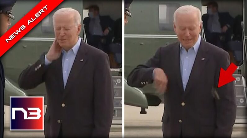 Biden’s Trip to Europe Gets off to Lousy Start - Watch him Get ATTACKED by Monster Cicada