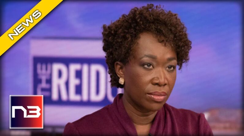 This is MSNBC: Joy Reid Pretends the Border Crisis is Nonexistent