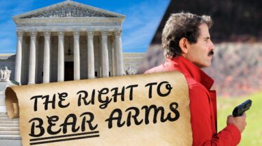 The Right To BEAR Arms