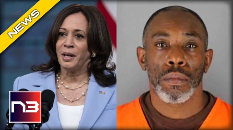 Minnesota Bail Fund Promoted by Kamala Harris Bailed out Someone Who is now Charged with Murder