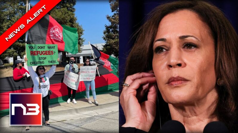 YES! GOP Trolls Kamala After Protesters Disrupt Her Shilling For Newsom