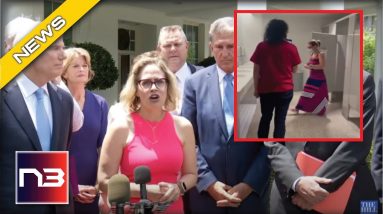 Uh Oh: Sinema TEARS APART Radical Democrat Activists After Their Campaign Stunt To Her