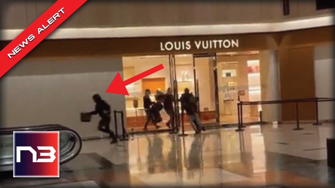 Biden’s America: A Dozen Thieves Loot Louis Vuitton Store In Alarming Video