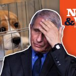 WHAT!? Did Fauci REALLY Fund Cruel Experiments on DOGS? | The News & Why It Matters | Ep 891