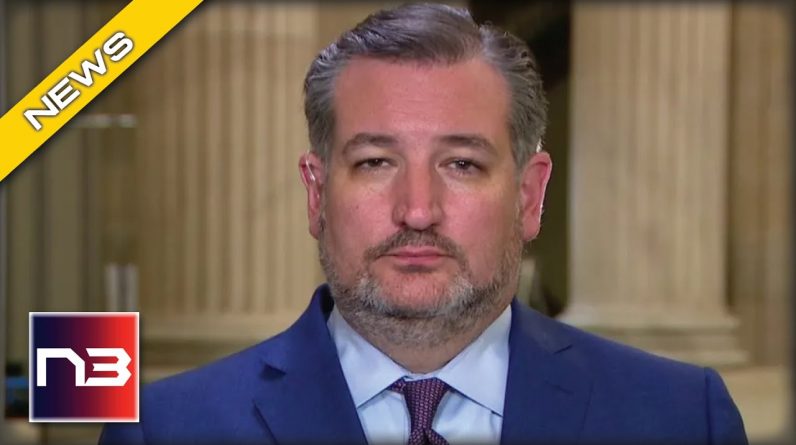 Ted Cruz Slams Biden For What He Did This Summer That’s Leading To “Public Health” Crisis