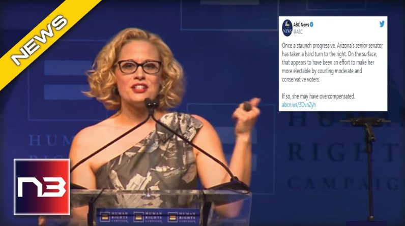 Liberal News Calls Kyrsten Sinema “Two Words” For Standing Up Against Dem Spending Bill