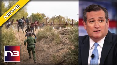 Ted Cruz Ruins Democrat Immigration Plans With A Single Statement