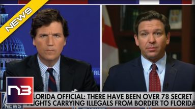 DeSantis Announcement Has Democrats Running for Cover