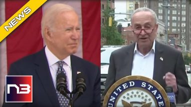 Chuck Schumer Unveils Plan to Help Biden Kill Hundreds of Thousands of American Jobs