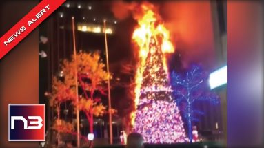 Crazy Man Burns FOX Christmas Tree in NYC