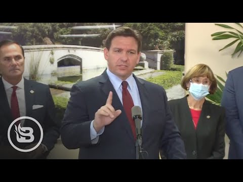 DeSantis NUKES Media for Reaction to January 6