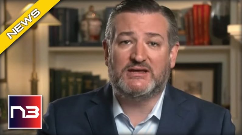 Enough! Ted Cruz DEMANDS Investigation Into GOFUNDME For Hurting These Conservative Groups