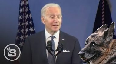 Biden LOSES IT, Tells Story of Putting DEAD DOG on Random Woman's Door
