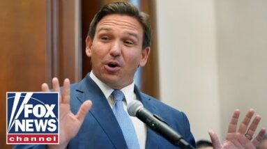 Democrats are using 'ridiculous' arguments to attack Gov. DeSantis: Rantz