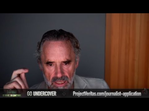 Andy Ngo to Jordan Peterson: "I am very supportive of the work they[Project Veritas] do."