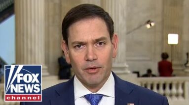 Sen. Rubio: This is why corporations lobby on behalf of China